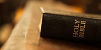 Bible Studies