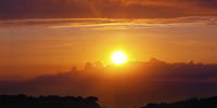 Morning Devotion